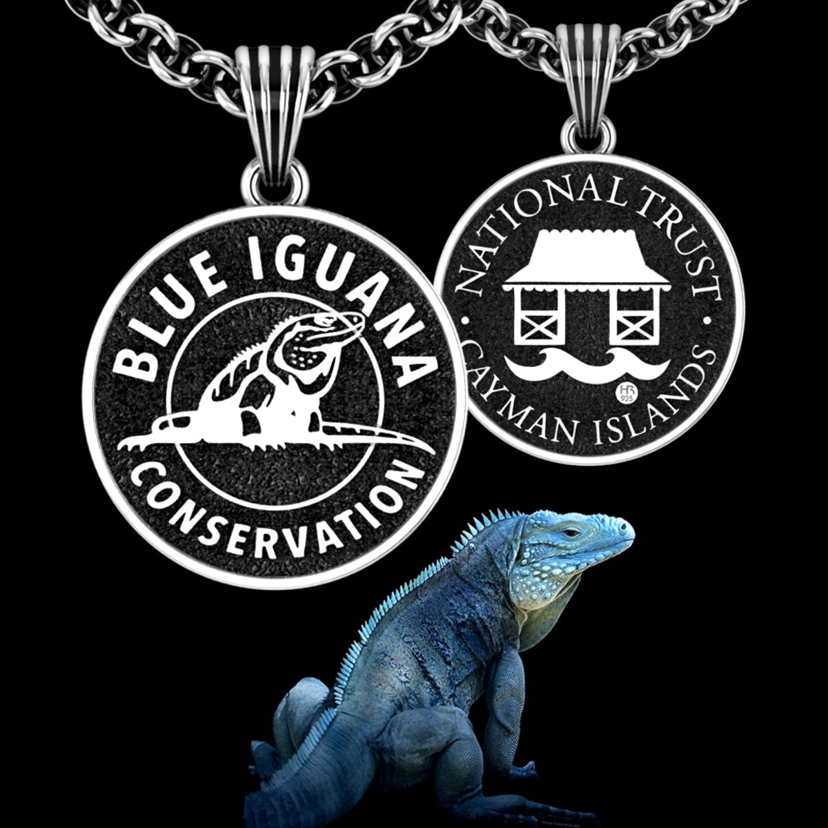 BLUE IGUANA CONSERVATION