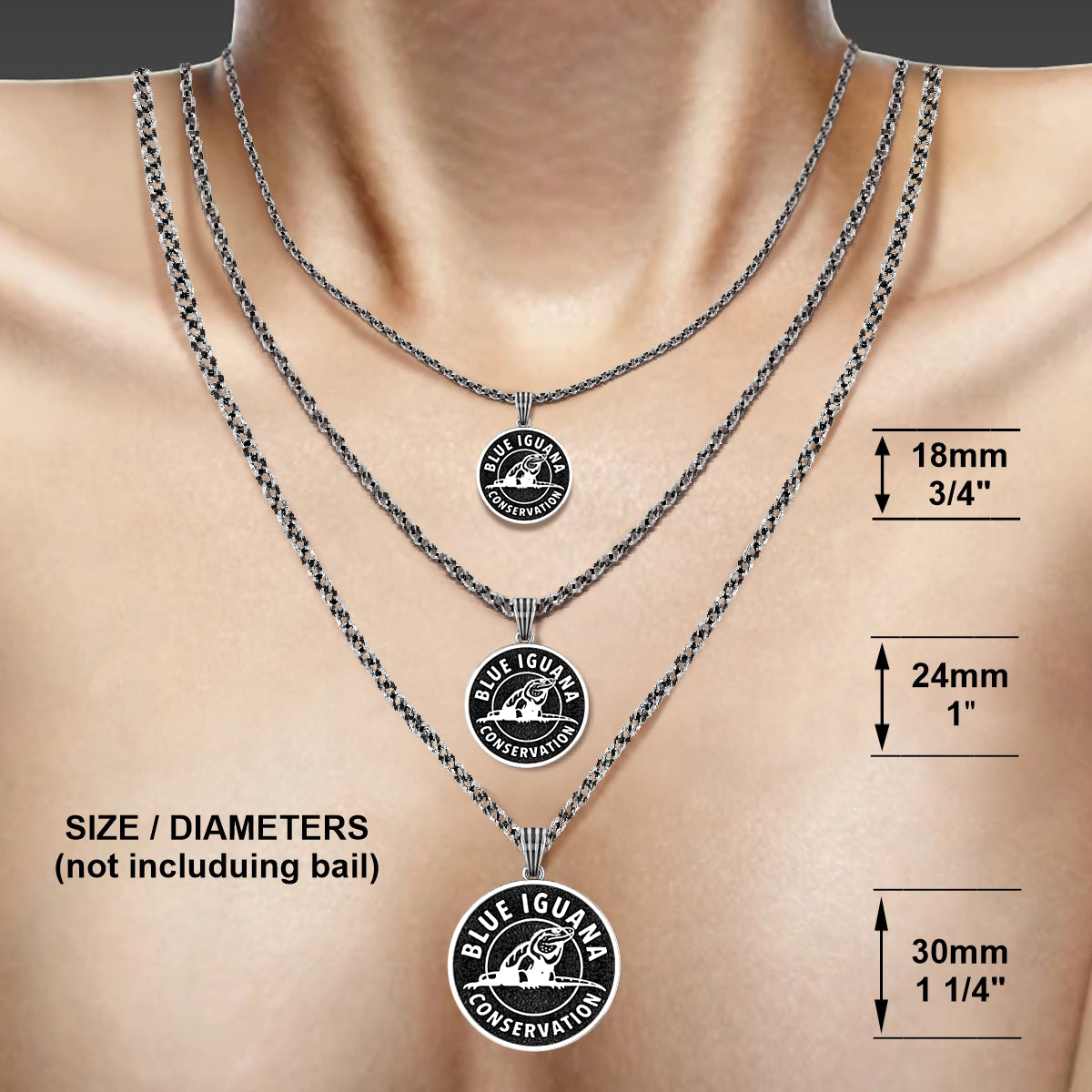 BLUE IGUANA CONSERVATION